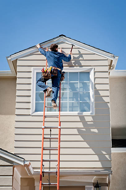 Best Vinyl Siding Installation  in Evansdale, IA